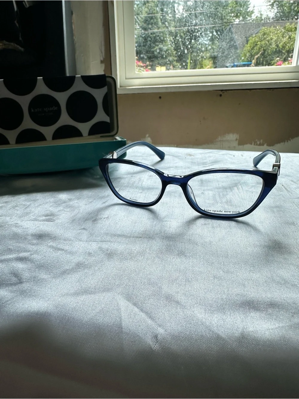 NWOT kate spade Blue Cat-Eye Glasses with Green Case